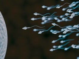 Sperm smuggling