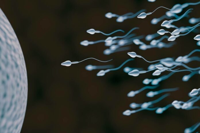 Sperm smuggling