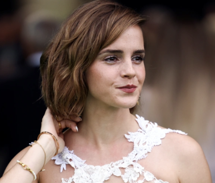 Actress Emma Watson's support to Palestine angers Israeli envoys