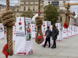 Three women among 32 executed in Iran