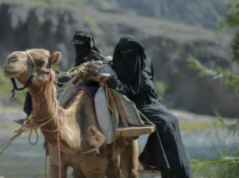Pregnant woman travels four hours to reach hospital on camel in Yemen