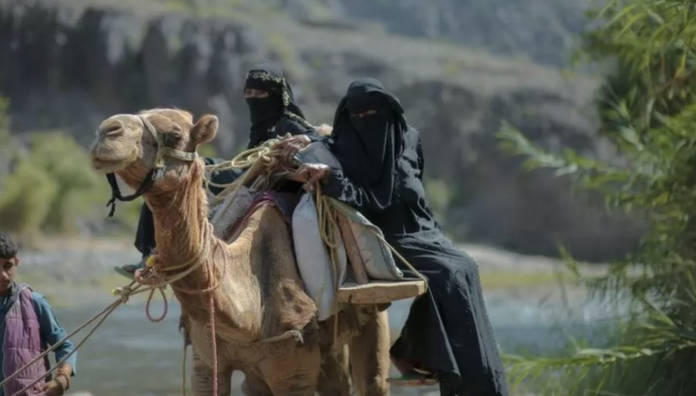 Pregnant woman travels four hours to reach hospital on camel in Yemen