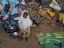 Sudan's West Darfur Region Plunged into Chaos as Genocidal Violence Erupts