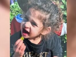Avigail, who had just turned three at the time of her abduction, spent a significant part of her young life in captivity. Her family, expressing a mix of relief and gratitude, shared their hopes and prayers for this day to come