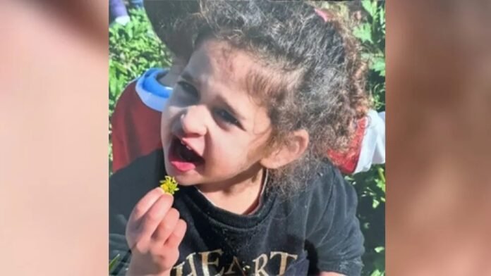 Avigail, who had just turned three at the time of her abduction, spent a significant part of her young life in captivity. Her family, expressing a mix of relief and gratitude, shared their hopes and prayers for this day to come