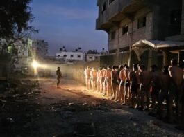 The surrender of dozens of terrorists underscores the complex nature of the conflict. It suggests that the IDF's advances and strategic operations may be impacting Hamas's ability to maintain cohesion and control
