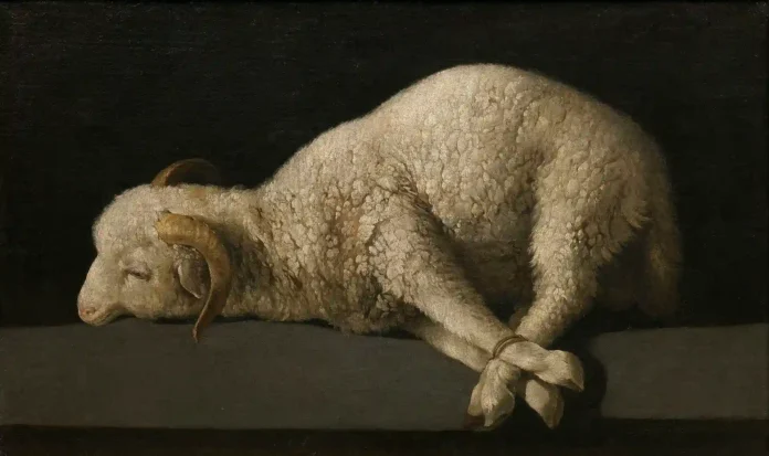 Among those detained were minors, with two brothers aged 17 and 15 apprehended in the Givat Mordechai area, allegedly in possession of goats intended for the ritual Among those detained were minors, with two brothers aged 17 and 15 apprehended in the Givat Mordechai area, allegedly in possession of goats intended for the ritual