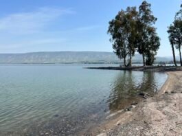 Despite the early opening, the lake's water level has surged, standing just shy of its upper 'red line' at -209.43 meters. This marks a half-centimetre increase from Sunday to Monday, underscoring the lake's near-capacity status