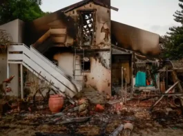 Viewers are encouraged to engage with these compelling narratives and reflect on the indomitable spirit of resilience that shines through in the face of adversity