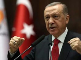Although Ankara denies direct involvement in Azerbaijan's military actions in Nagorno-Karabakh, it has admitted to providing military training and modernization support to its ally Baku