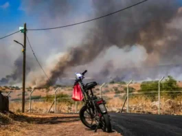 The Hezbollah strike came in the wake of a significant Israeli military action earlier in the day. The IDF announced that its forces had targeted and eliminated a terrorist cell based in Tayr Harfa, a village in southern Lebanon
