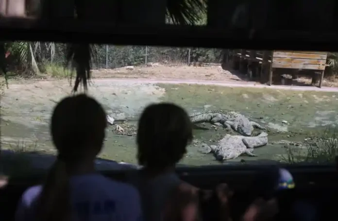 The force of the attack left him with severe injuries, primarily from the crocodile's powerful bite