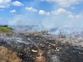 A fire breaks out in an open area in northern Israel. (photo credit: Fire and Rescue Authority/Maariv) A fire breaks out in an open area in northern Israel. (photo credit: Fire and Rescue Authority/Maariv)