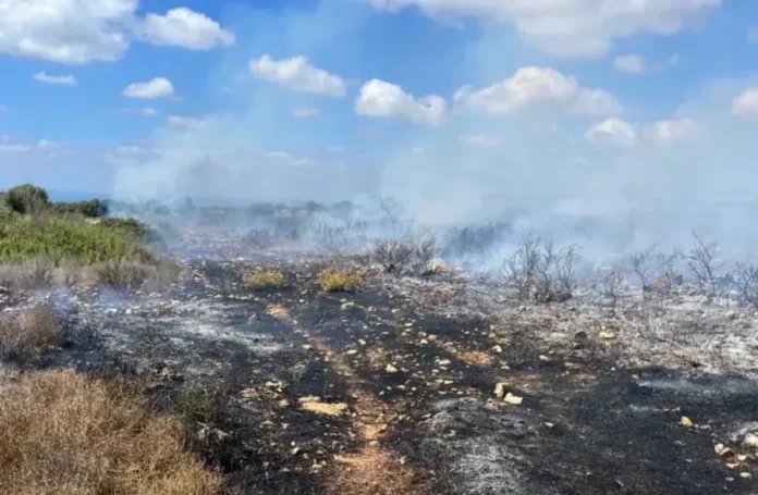 A fire breaks out in an open area in northern Israel. (photo credit: Fire and Rescue Authority/Maariv) A fire breaks out in an open area in northern Israel. (photo credit: Fire and Rescue Authority/Maariv) A fire breaks out in an open area in northern Israel. (photo credit: Fire and Rescue Authority/Maariv)