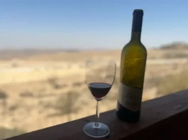 Together, they revived and restored grapevine cultivars once believed to be the pride of the ancient Negev viticulture industry