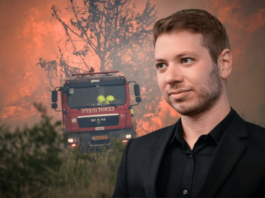 Telegram channels explicitly praised the destruction, using inflammatory language to describe the ongoing wildfires