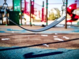 IPS Tzur unit officers arrested a sex offender caught performing indecent acts in a public park in southern Israel