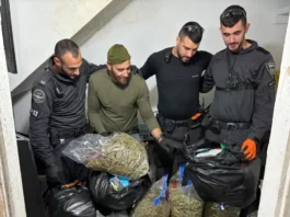 Israeli police officers inspect packages of suspected cannabis seized during a raid on a Tel Aviv apartment in Kfar Shalem