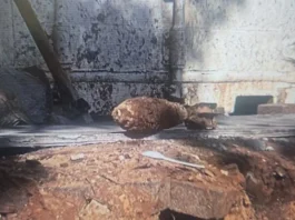 Police cordon off Herzl Street in Rehovot as bomb disposal experts disarm an unexploded mortar shell discovered on the busy road